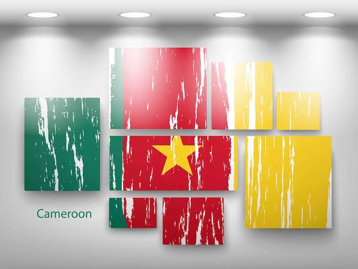 روش و راه ها و انواع ثبت شرکت در کامرون - Ways and types of company registration in Cameroon