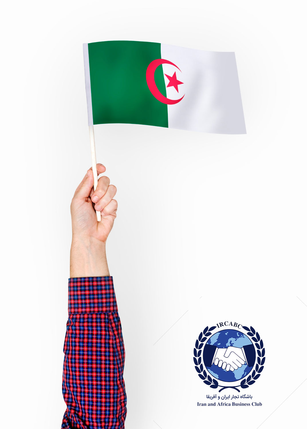 ثبت شرکت و مهاجرت به الجزایر