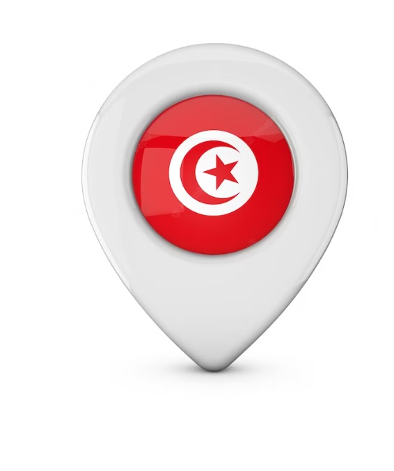 انواع ثبت شرکت در تونس